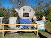 Apple Hill Orchard and Cider Mill