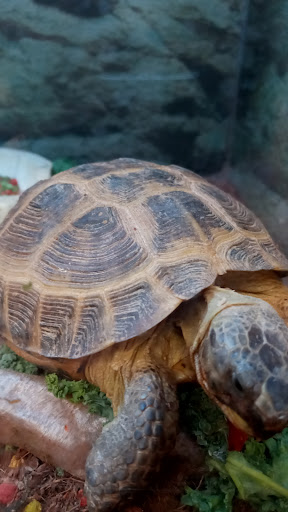 Pet Supply Store «Petco Animal Supplies», reviews and photos, 10 Sylvan St, Peabody, MA 01960, USA