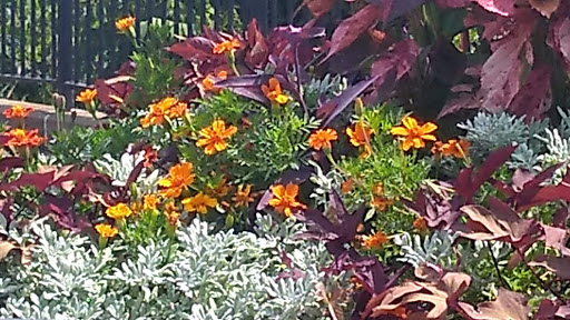 Park «Mt. Echo Park», reviews and photos, 202 Crestline Ave, Cincinnati, OH 45205, USA