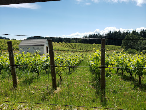 Winery «Trisaetum Winery», reviews and photos, 18401 NE Ribbon Ridge Rd, Newberg, OR 97132, USA