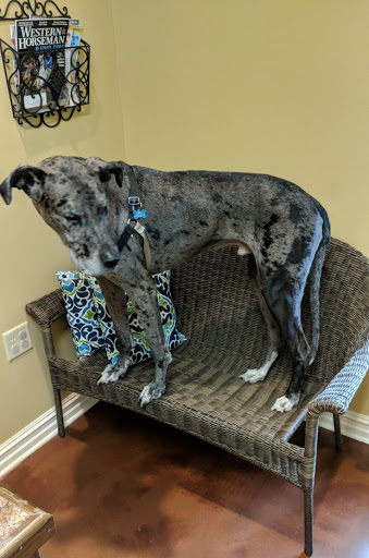 Bayou Cane Veterinary Hospital image