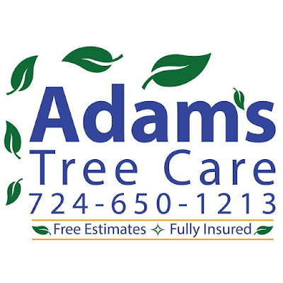 Overall, my experience with Adam"s Tree Care was nothing short of exceptional