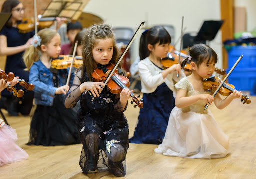 Nirvana Academy of Violin