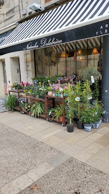 Db Fleurs à Le Bouscat