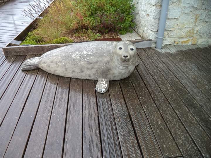 Photo n° 3 de l'avis de Luc.e fait le 03/12/2020 à 20:58
