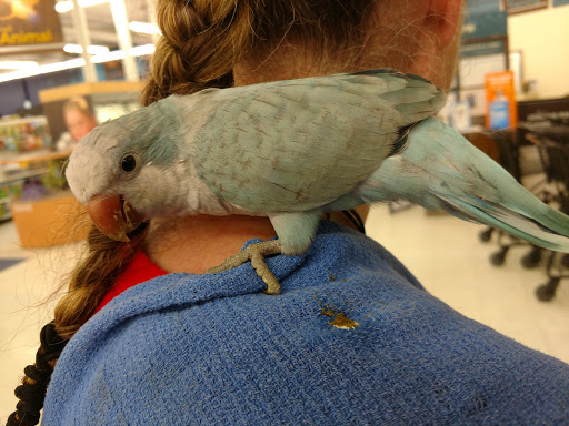 Pet Supply Store «Petco Animal Supplies», reviews and photos, 710 W 66th St, Richfield, MN 55423, USA