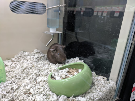 Pet Supply Store «Pet Supplies Plus», reviews and photos, 1240 Seminole Trail, Charlottesville, VA 22901, USA