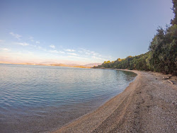 Vrachli Beach'in fotoğrafı vahşi alan