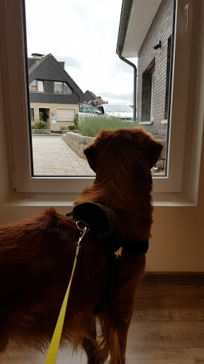 Dr.med.vet. Ralf Thormann veterinarian unter Bönen, 