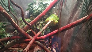 Racine Zoo - photo 87