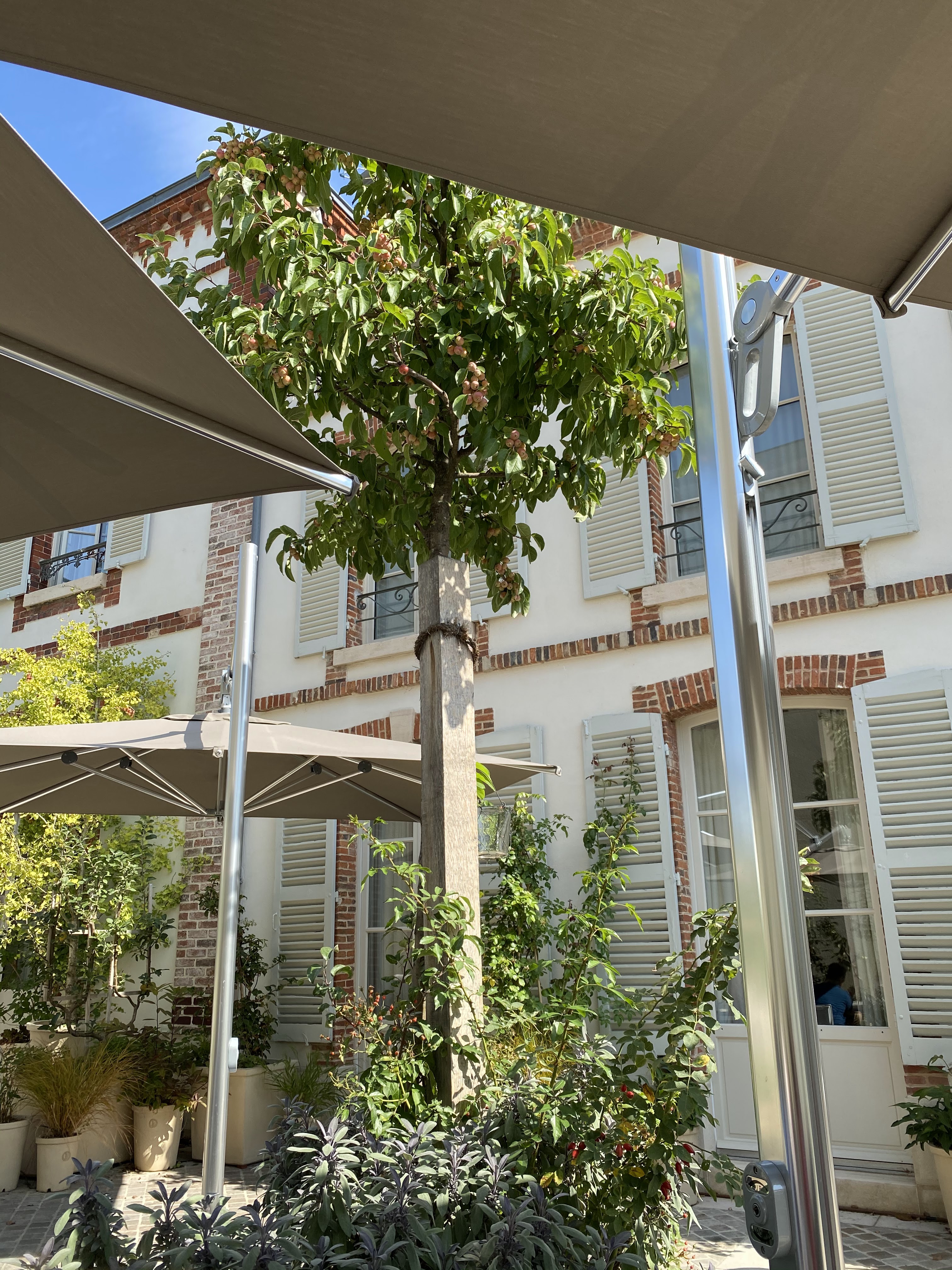 Photo n° 3 de l'avis de Corina.o fait le 20/09/2020 à 12:24