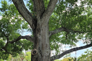 Sarasota Garden Club