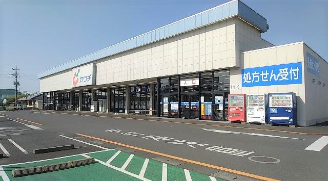 カワチ薬品 谷田部店