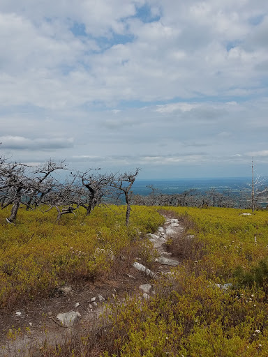 Tourist Attraction «Ice Caves», reviews and photos, Sams Point Rd, Pine Bush, NY 12566, USA