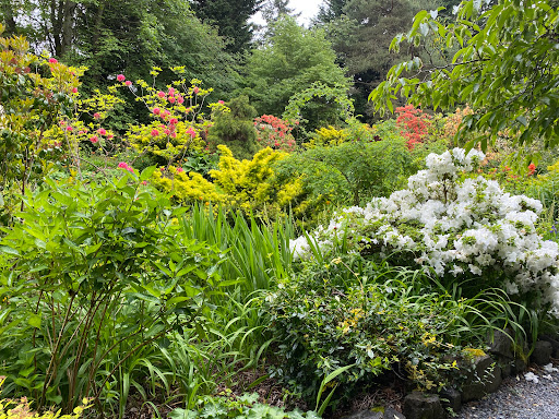 Tourist Attraction «Soos Creek Botanical Garden», reviews and photos, 29308 132nd Ave SE, Auburn, WA 98092, USA