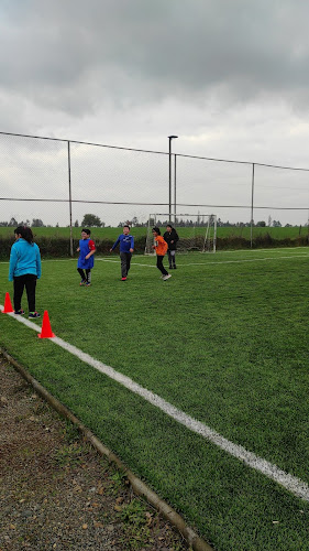 Opiniones de Cancha tio claudio en Chillán - Gimnasio