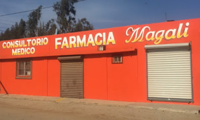 Farmacia Magali, , Vicente Guerrero
