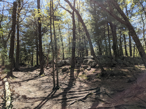 State Park «Wilson Mountain Reservation», reviews and photos, 384 Common St, Dedham, MA 02026, USA