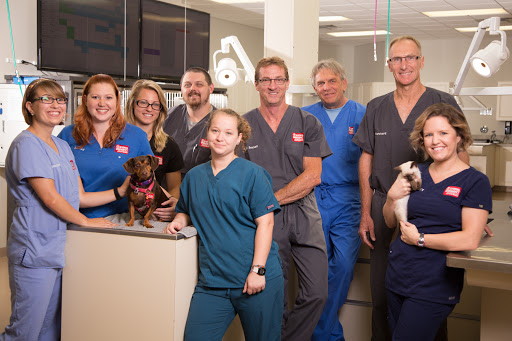 Veterinarian Â«Animal Emergency and Critical Care Center of Brevard