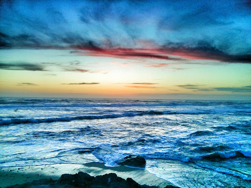 Nature Preserve «Fitzgerald Marine Reserve», reviews and photos, 200 Nevada Ave, Moss Beach, CA 94038, USA