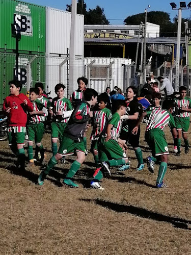 Colón Fútbol Club - Campo de fútbol