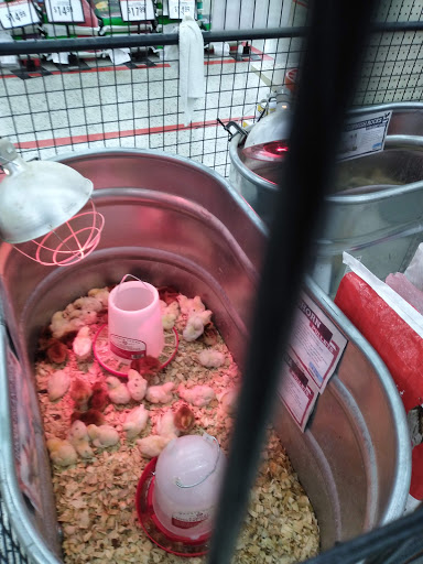 Home Improvement Store «Tractor Supply Co.», reviews and photos, 1701 Massey Blvd #629, Hagerstown, MD 21740, USA