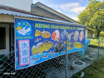 Fish King Aquarium Shop