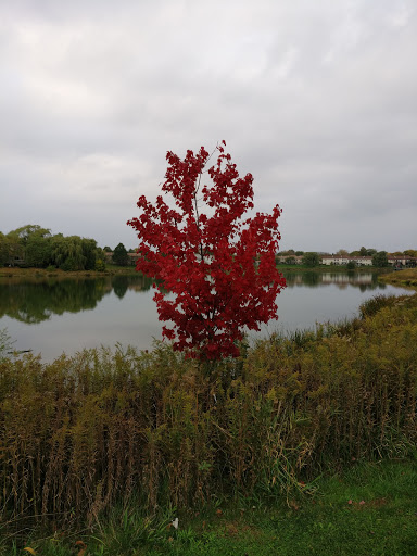 Park «Spring Lake Park», reviews and photos, 396 Springlake Ln, Aurora, IL 60504, USA