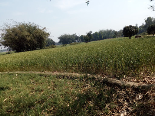 Furniture Store «American Freight Furniture and Mattress», reviews and photos, 1920 Watterson Trail, Louisville, KY 40299, USA