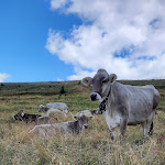 Photo n°7 de l'avis de Paola.r fait le 30/08/2021 à 18:41 sur le  Baita Termen à Castione della Presolana