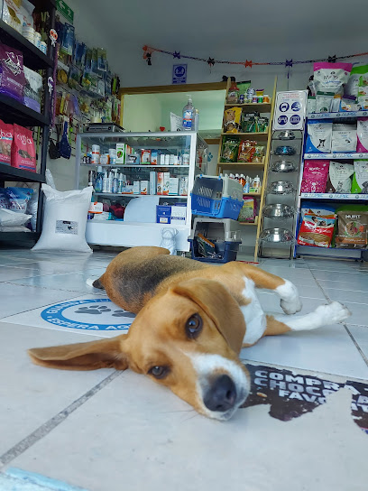 Chuchos Estética canina y Pet Shop