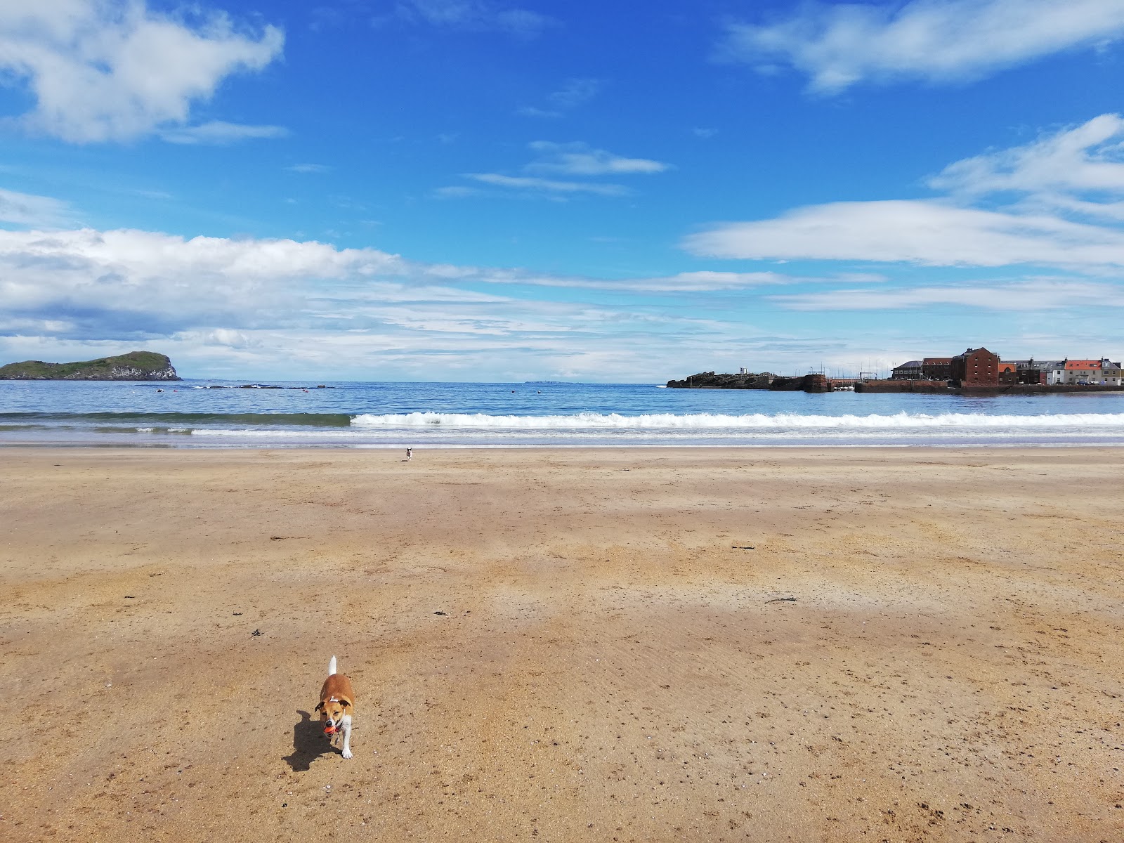 West Bay Beach'in fotoğrafı uzun koy ile birlikte