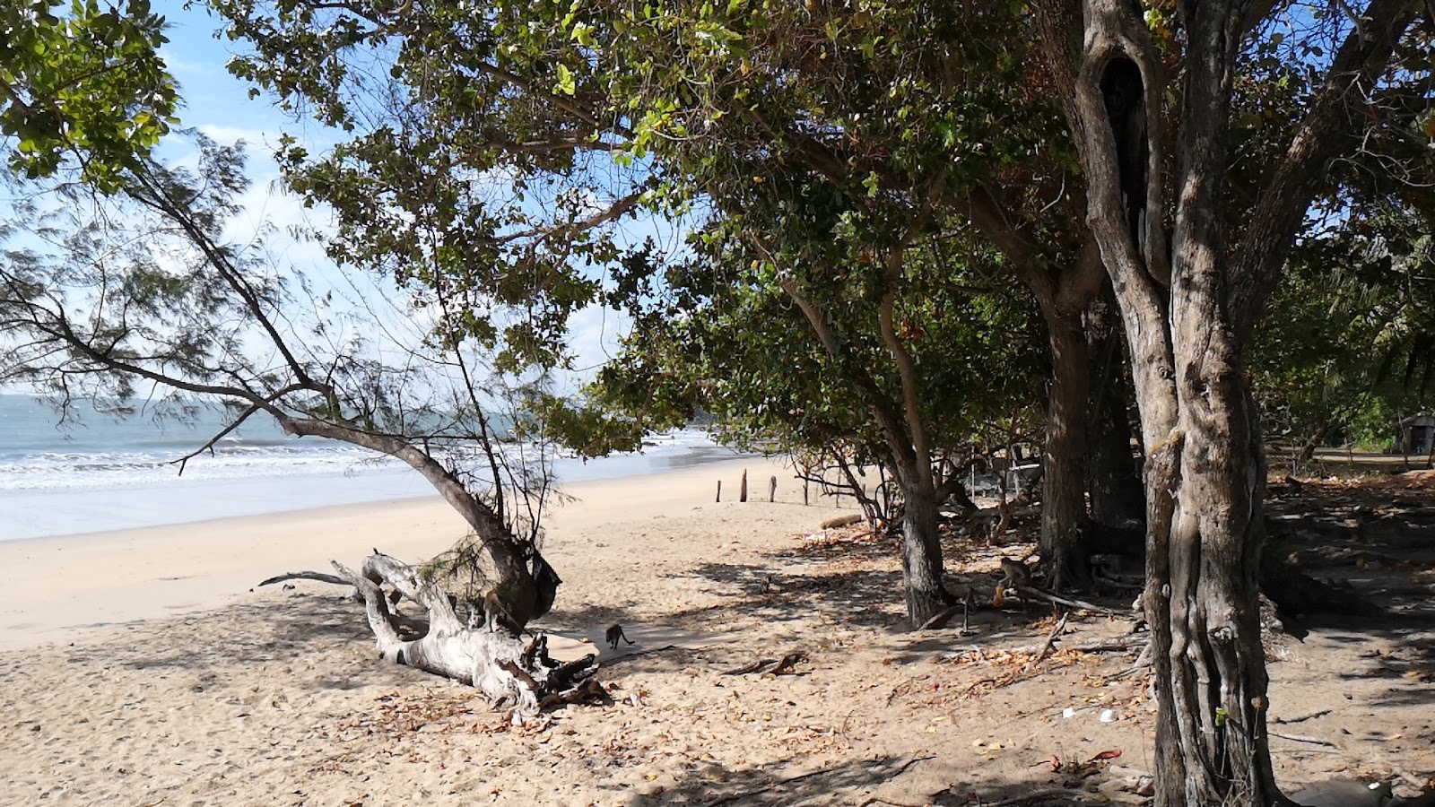 Foto van Batu Layar Beach gelegen in een natuurlijk gebied