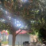 Photo n°1 de l'avis de Gu.R fait le 27/07/2023 à 13:43 sur le  jardim do japão à Porto