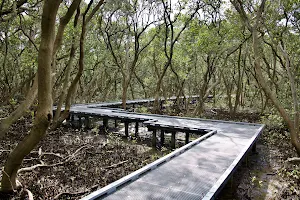 Badu Mangroves image