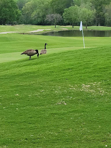 Golf Course «Meadow Lakes Golf Course», reviews and photos, 383 Adams Rd, Cedartown, GA 30125, USA