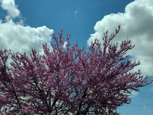 Coffee Shop «Starbucks», reviews and photos, 1140 W Riverdale Rd, Riverdale, UT 84405, USA