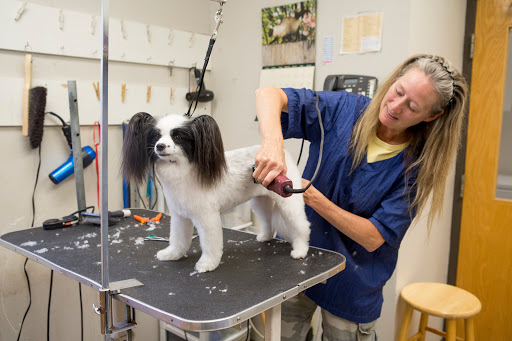 Truesdell Animal Care Hospital & Clinic image