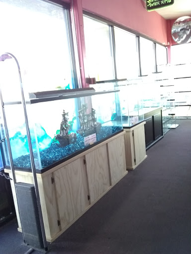 Tropical Fish Store «Trop Aquarium», reviews and photos, 3125 E Tropicana Ave D, Las Vegas, NV 89121, USA