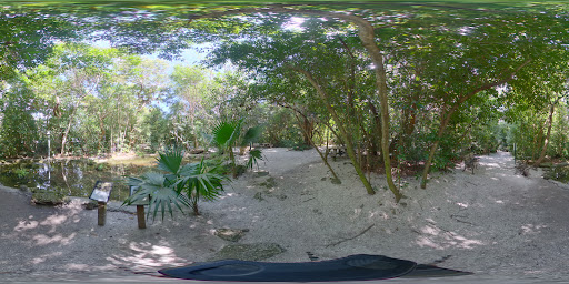 Park «Simpson Park», reviews and photos, 5 SW 17th Rd, Miami, FL 33129, USA