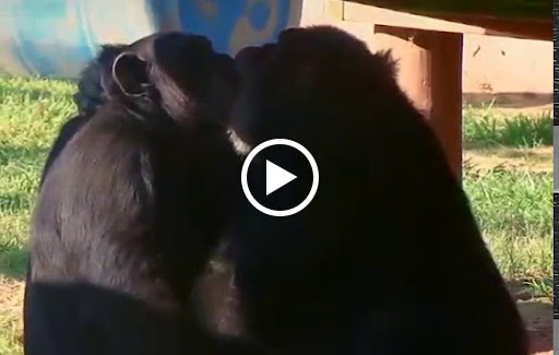 Department Store «JCPenney», reviews and photos, 1060 Perimeter Dr, Manteca, CA 95337, USA