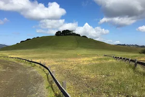 Edgewood Park & Natural Preserve image