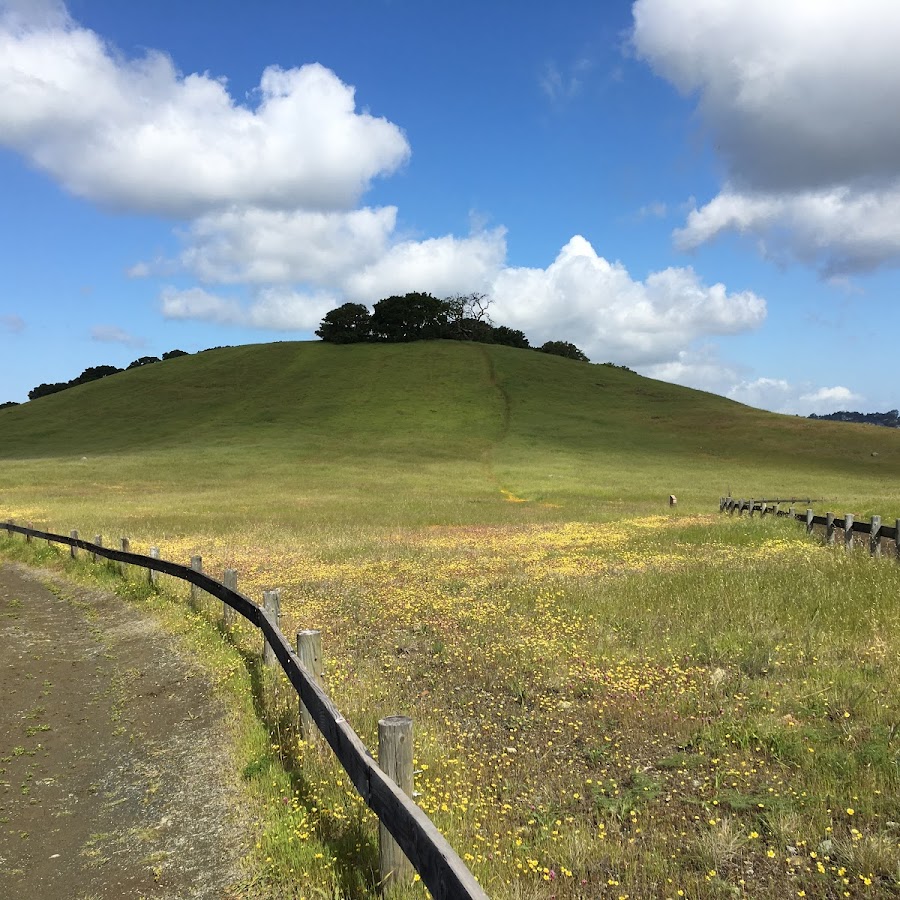 Friends of Edgewood Natural Preserve