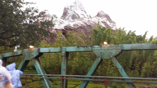 Tourist Attraction «Finding Nemo - The Musical», reviews and photos, Dinoland U.S.A., Kissimmee, FL 34747, USA