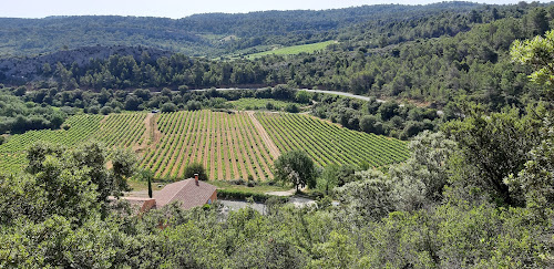 Chassera à Saint-Chinian