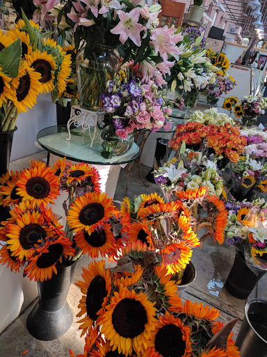 Gourmet Grocery Store «Eastern Market», reviews and photos, 225 7th St SE, Washington, DC 20003, USA