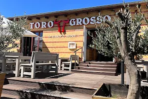 Toro Grosso image