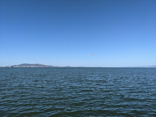 Sporting Goods Store «Boardsports California», reviews and photos, 1603 Coyote Point Dr, San Mateo, CA 94401, USA