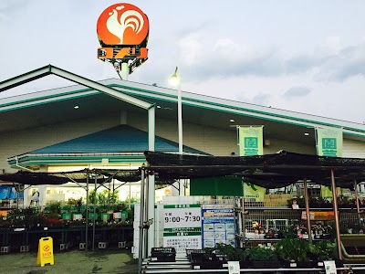コメリハード＆グリーン五十公野店