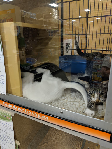 Pet Supply Store «PetSmart», reviews and photos, 1225 Industrial Rd, San Carlos, CA 94070, USA